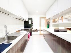 Twin Waterfalls (D19), Condominium #501946801